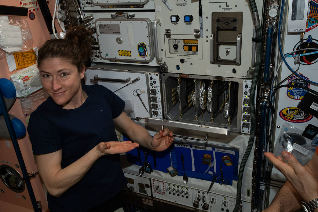 Niečo z pozemských radostí - takto sa na ISS pečie pizza. Kredit: NASA.