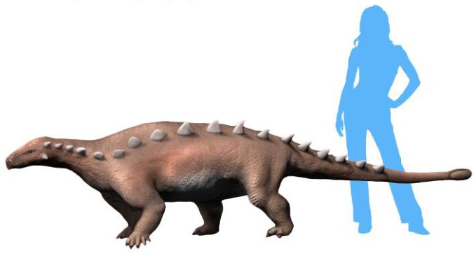 Jedním z posledních přírůstků do dinosauří statistiky je i letos popsaný čínský nodosaurid druhu Jinyunpelta sinensis. Tento obrněný dinosaurus tak představuje další položku do stále se rozšiřujícího seznamu téměř tří stovek čínských dinosauřích druh