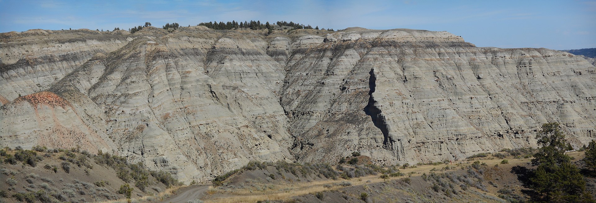 Především jílovcové sedimenty geologického souvrství Judith River, rozkládající se na území amerického státu Montana. V těchto 79 až 75 milionů let starých usazených horninách byly objeveny také fosilie druhu Daspletosaurus wilsoni. Kredit: Kenneth C