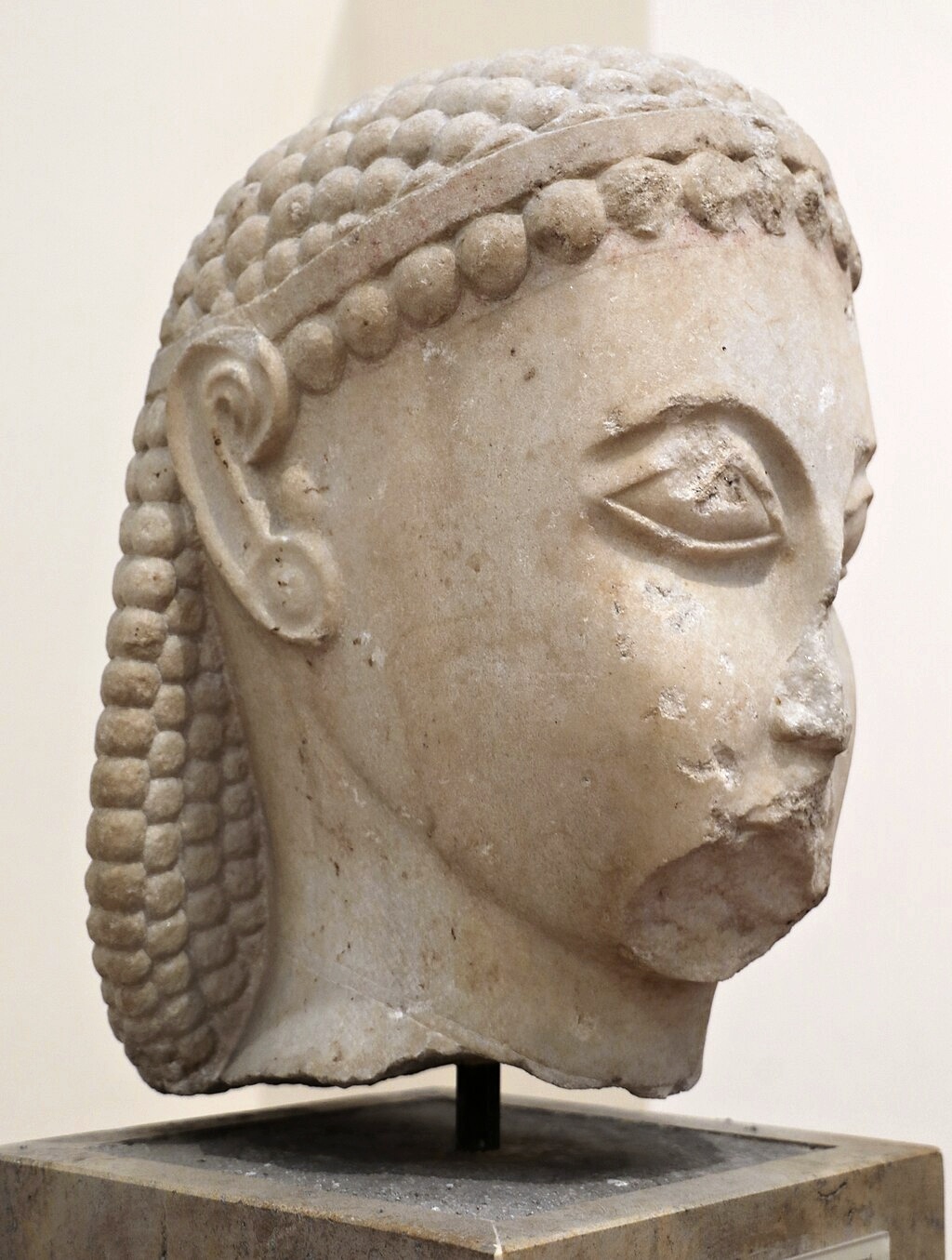 Hlava velkého kúra. NAMA 3372. Kredit: Francesco Bini, Wikimedia Commons. Licence CC 4.0.