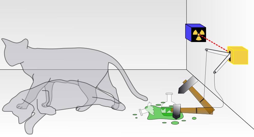 Nejslavnější experiment s kočkou, při němž kočku nevyhazujete z okna. Kredit: Dhatfield / Wikimedia Commons.