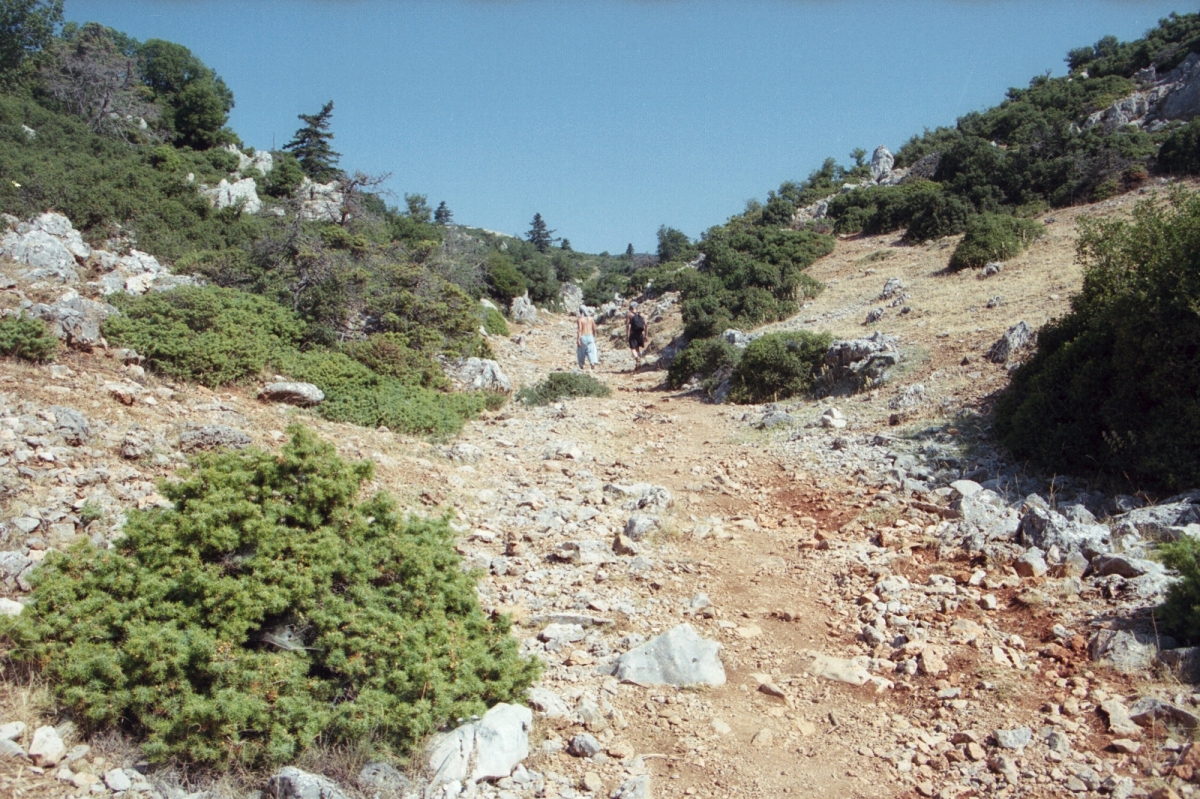 Cesta od Fedriád nad Delfami k náhorní planině, už nad 1000 m n. m. Kredit: Zde, Wikimedia Commons. Licence CC 4.0.