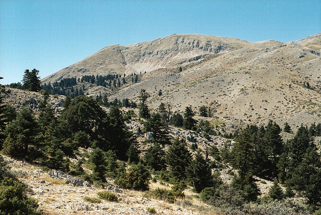 Kylléné z okolí vyhlídky nad Hermovou jeskyní. Kredit: Zde, Wikimedia Commons.