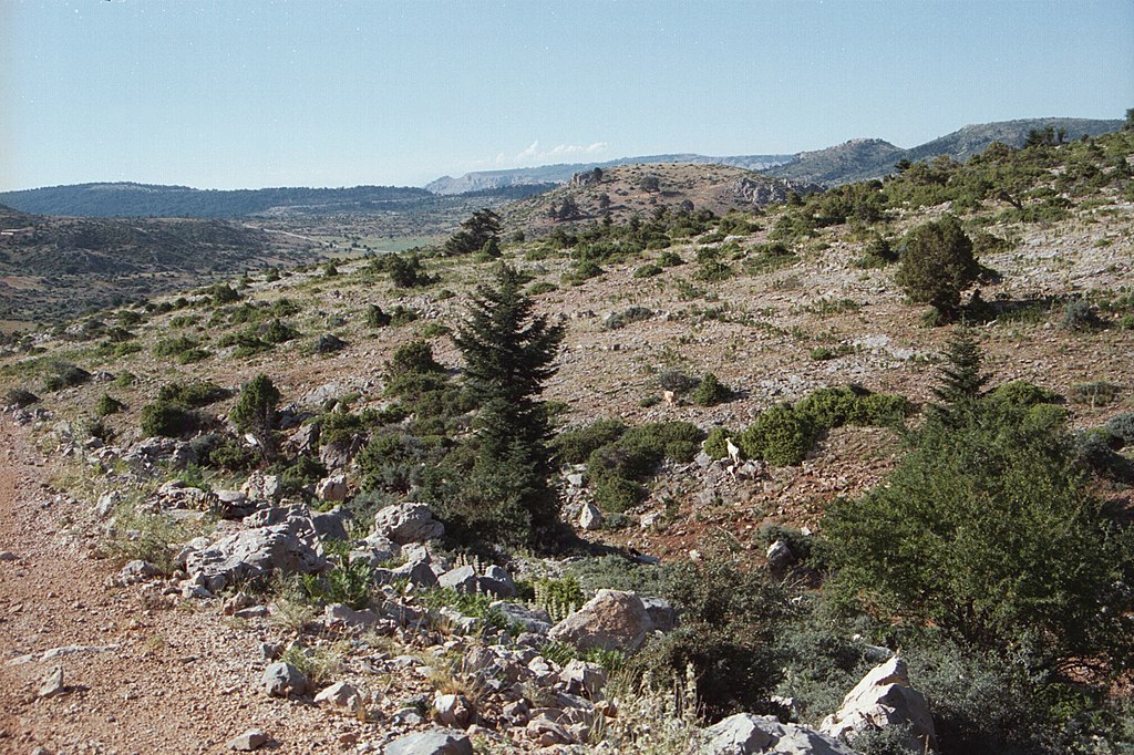 V okolí planiny Dasiou. V dálce Želví hory (Chelydoré). Kredit: Zde, Wikimedia Commons.