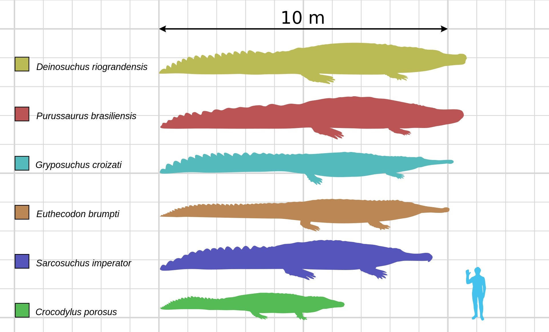 Porovnání velikosti největšího známého jedince krokodýla mořského (zelená silueta) s obřími vyhynulými krokodýlovitými plazy. Deinosuchus patřil nepochybně k těm největším. Kredit: Smokeybjb; Wikipedia (CC BY-SA 3.0)