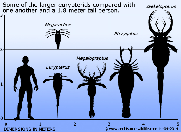 PĹ™ehlĂ­dka velkĂ˝ch kyjonoĹľcĹŻ. Kredit: www.prehistoric-wildlife.com.