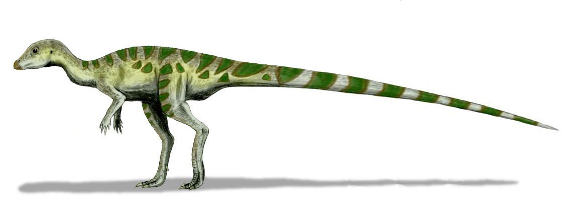 Starší rekonstrukce druhu Leaellynasaura amicagraphica zobrazující tohoto menšího ptakopánvého dinosaura bez pernatého tělesného pokryvu. Lélynasaura byl malý, nejspíše stádní býložravec, dorůstající v dospělosti délky zhruba do tří metrů a hmotnosti