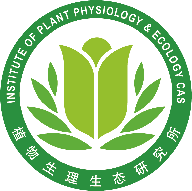 Logo. Kredit: SIPPE.