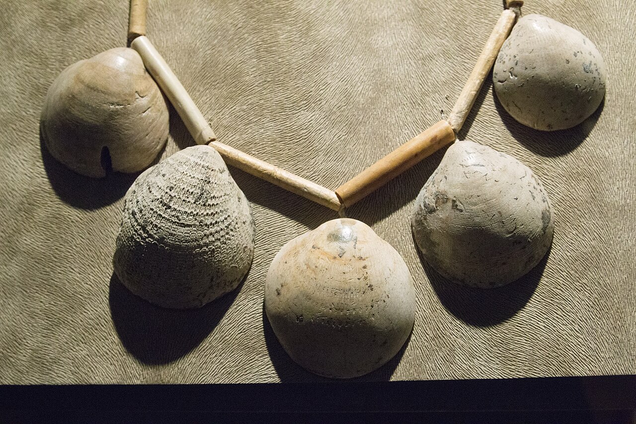 Lasturový náhrdelník z říčních škeblí. Kultura s vypíchanou keramikou, nález ze Šárky v Praze Liboci. Muzeum hlavního města Prahy. Kredit: Zde, Wikimedia Commons. Licence CC 4.0.