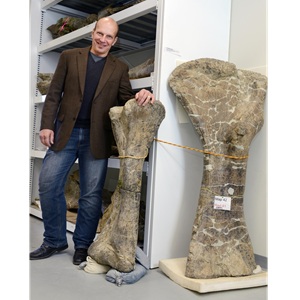 Paleontolog Kenneth J. Lacovara pózuje u lýtkové kosti (vlevo) a pažní kosti (vpravo) sauropoda druhu Dreadnoughtus schrani. Právě pažní kost obřího dinosaura byla podrobena detailní analýze. Kredit: ArcaneHalveKnot; Wikimedia Commons (CC BY-SA 4.0)