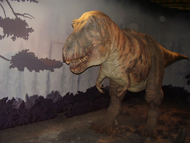 Tyrannosaurus - tyranský ještěr, pochází ze starořeckého 