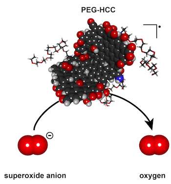 Polyethylenglykol-hydrofilnĂ­ uhlĂ­katĂ© klastry vytvoĹ™enĂ© na Rice University selektivnÄ› pĹŻsobĂ­ na T-buĹ?ky a inhibujĂ­ jim jejich zabijĂˇckĂ© choutky.Â Kredit: Errol Samuel