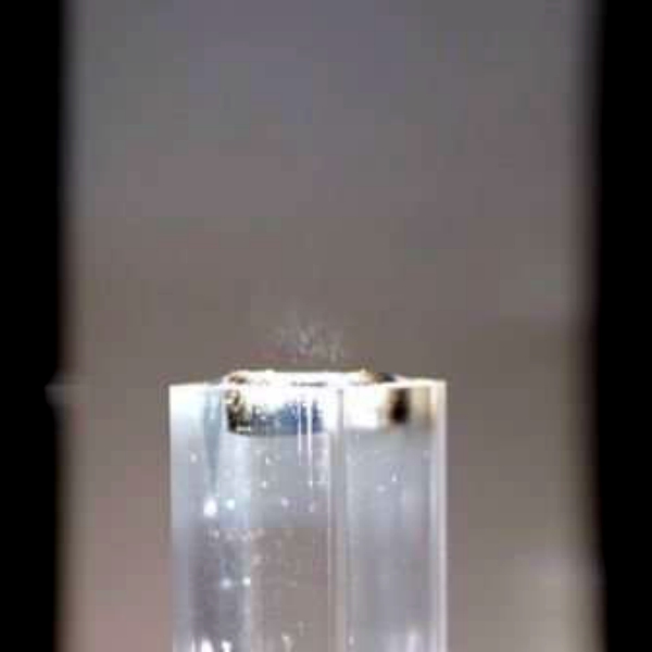 Nano-hydrogel v akci. Kredit: Guihua Yu.