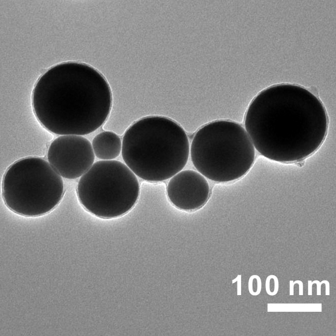 NanoterminĂˇtoĹ™i. Kredit: Yue Lu / UNC.