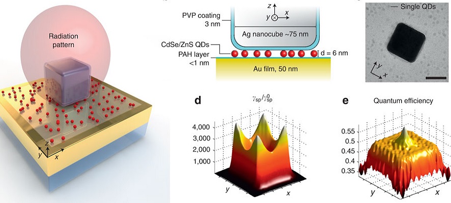 chĂ©ma nanoflĂ­ÄŤkovĂ© plazmonickĂ© antĂ©ny. Kredit: Hoang et al. Nature Com. (2015).