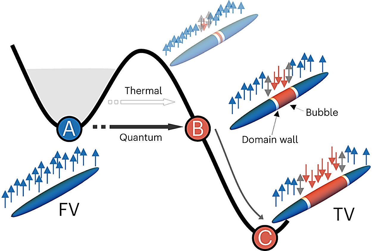 Experiment s šířením bubliny změny vakua. Kredit: Zenesini et al. (2024), Nature Physics.