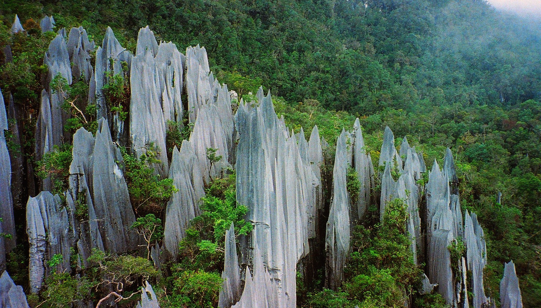 Nejde jen o horniny v Americe. I z vápencových skalních věží Gunung Mulu na Borneu jsou rázem klimatičtí zloduši zhoršující klima planety. Kredit: Paul White, Flickr (Creative Commons).