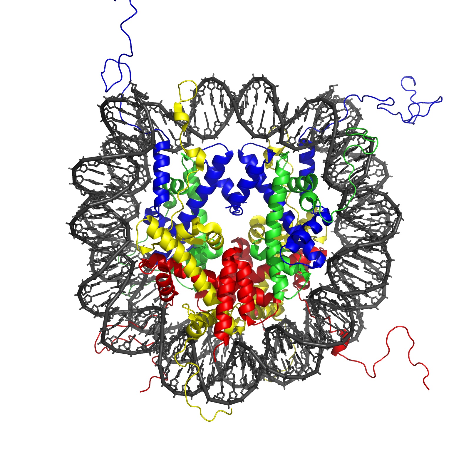 Stavba nukleozomu; ĹˇedÄ› DNA a barevnÄ› uvnitĹ™ histony. Kredit: Wikipedia