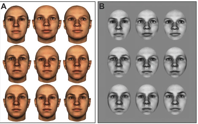 UkĂˇzka nÄ›kolika tvĂˇĹ™Ă­, kterĂ© ryby musely od sebe odliĹˇit, pokud chtÄ›ly za svĹŻj stĹ™ik dostat odmÄ›nu.  (Kredit: Cait Newport, University of Oxford)