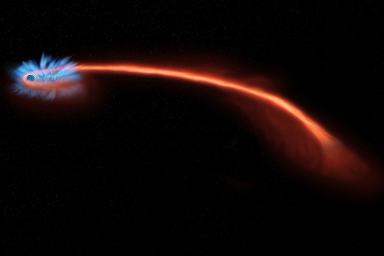Pokud se hvězda (červená stopa) zatoulá příliš blízko černé díry (na obr. vlevo), může být intenzivní gravitací roztrhána – „špagetifikována“. Část hmoty hvězdy víří kolem černé díry a vyzařuje velké množství rentgenového záření (znázorněné modře). S