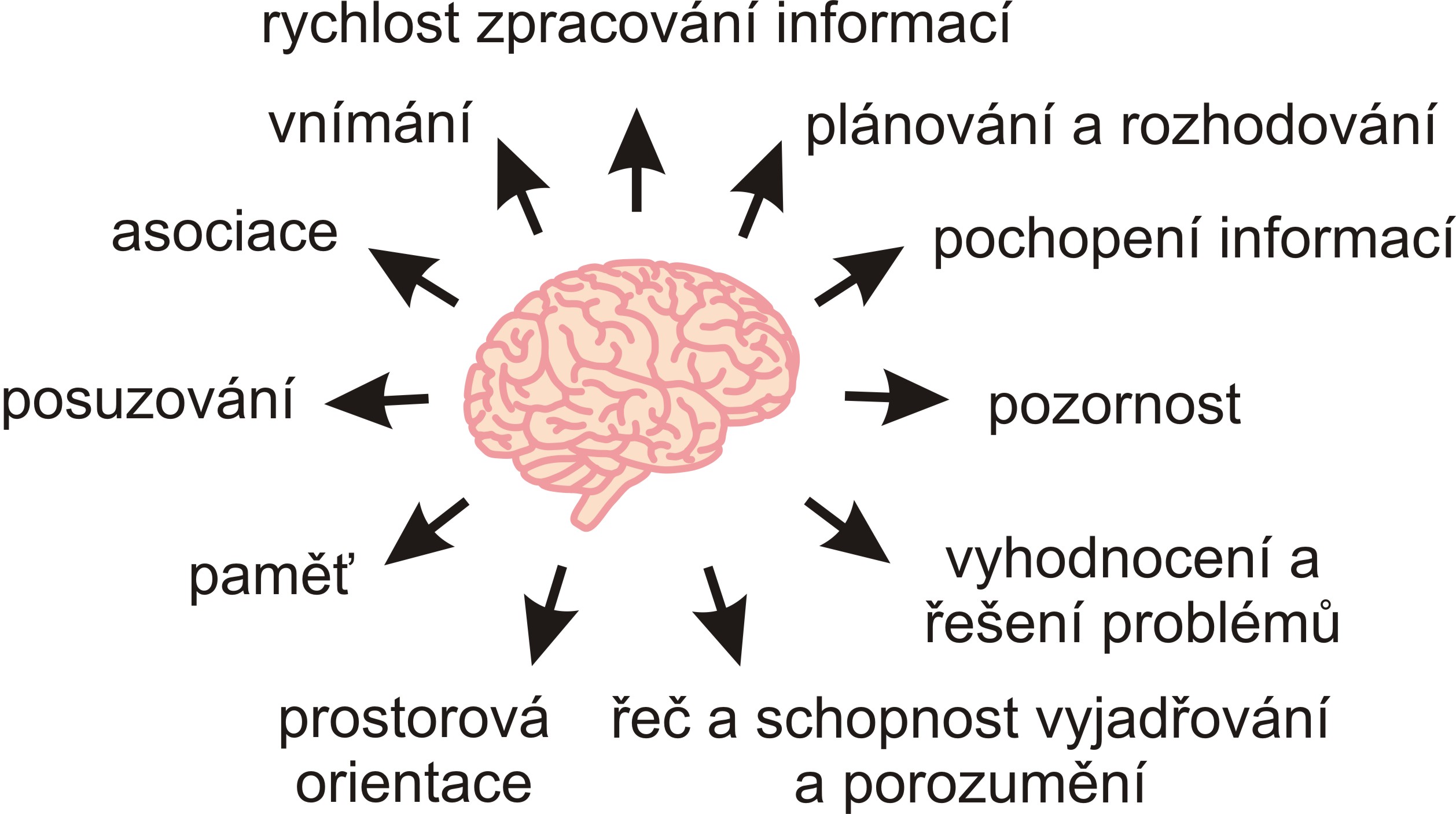 Kognitivní funkce. Pod pojem kognice můžeme zahrnout celou řadu duševních schopností. Různí autoři se ovšem liší v tom, jaké funkce ke kognici ještě řadí a které už ne. Obrázek ukazuje příklady kognitivních funkcí podle nejrozšířenějších definic.