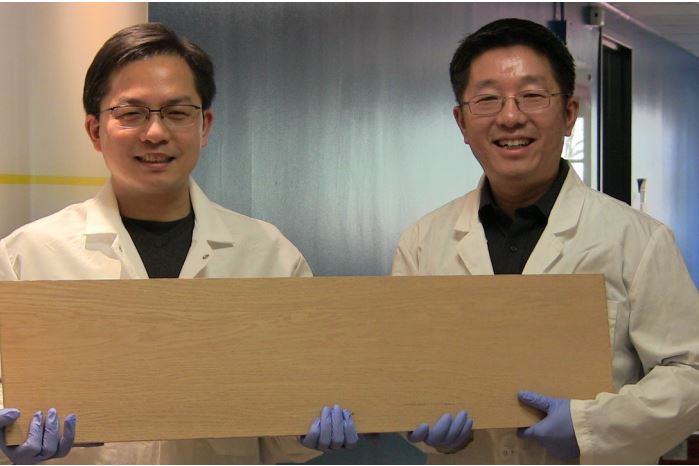Liangbing Hu (vlevo) a Teng Li (vpravo)z Katedry materiálového výzkumu a inženýrství University of Maryland, členové týmu, který prozkoumal způsob, jak dřevu desetkrát zvýšit pevnost a tuhost. Credit: University of Maryland