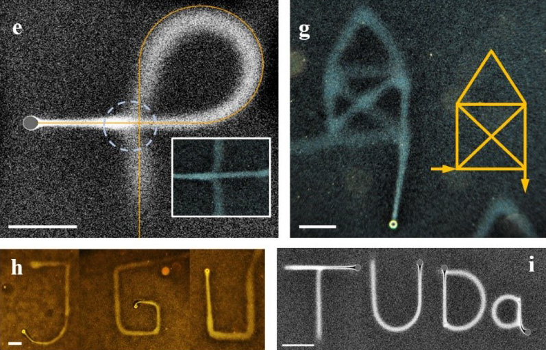 Psaní a kreslení ve vodě (úsečky v jednotlivých oknech představují měřítko 250 µm) Kredit: Thomas Palberg, Benno Liebchen, in: N. Möller et al., Writing in Water, Small, 21. August 2023,