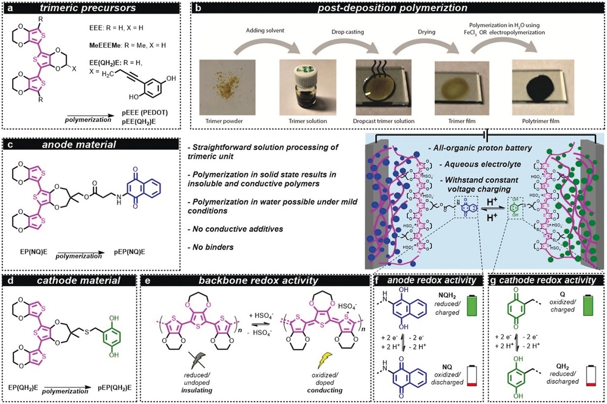 Organická baterie s chinony. Kredit: Strietzel et al. (2020), Angewandte Chemie.