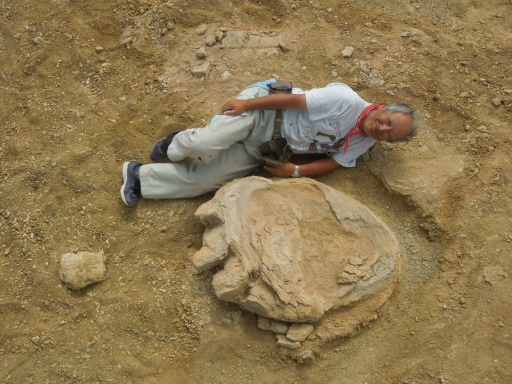 Profesor Shinobu Ishigaki v roli mÄ›Ĺ™Ă­tka u jednĂ© z dinosauĹ™Ă­ch stop. (Kredit: Shinobu Ishigaki, Okayama University of Science)