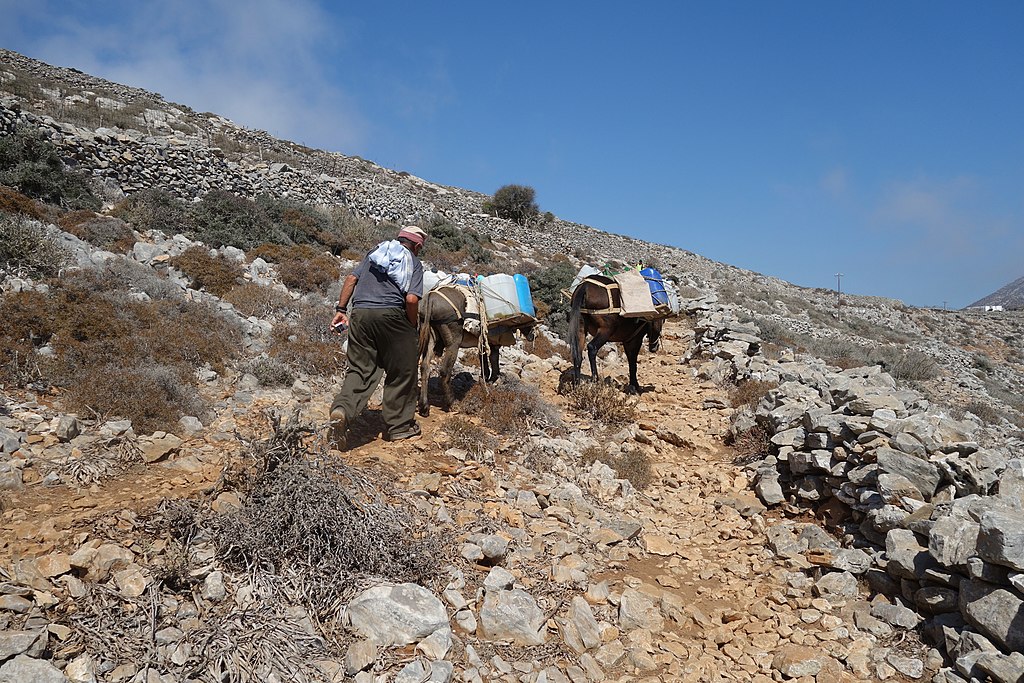 Doprava vody na horskou samotu Oxo Meria. Amorgos. Naštěstí po dobré cestě (kalderími). Kredit: Zde, Wikimedia Commons.