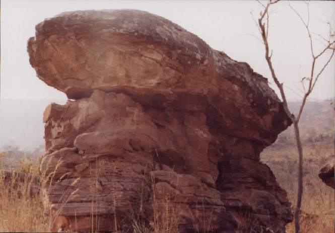 Výchozy geologického souvrství Pebbly Arkose, v jehož sedimentech byly objeveny fosilie bazálního sauropodomorfa druhu Mbiresaurus raathi. Kredit: Babakathy; Wikipedia (CC0)