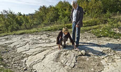 https://svpow.files.wordpress.com/2009/10/plagne-sauropod-track.jpg