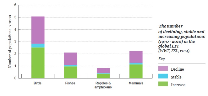 GRAF 2: Fialově jsou klesající populace, zeleně rostoucí, modře ty stabilní. Birds – ptáci, fishes – ryby, reptiles and amphibians – plazi a obojživelníci, mammals – savci. [7]