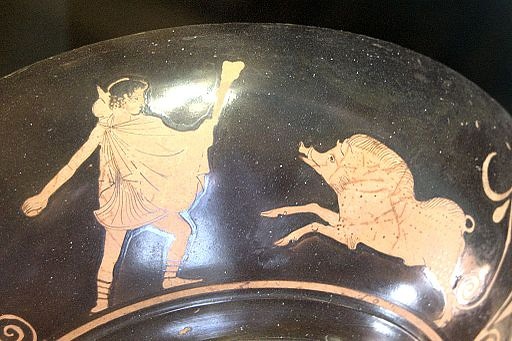 Théseus, mladý hrdina, se chystá udolat obzvláště divokou Krommyonskou svini, 460-450 před n. l. Louvre Museum. Kredit: Bibi Saint-Pol, Wikimedia Commons .