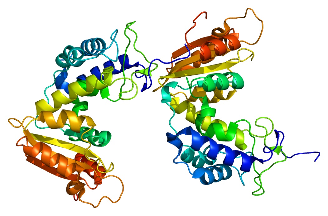 Structura glykoproteinu CD38. Pro jeho enzymatickou schopnost je nazĂ˝vĂˇn takĂ© cyklickou ADP riboso hydrolasou. Je to struktura, kterou jsme znali jako souÄŤĂˇst membrĂˇny imunitnĂ­ch bunÄ›k  - lymfocytĹŻ a jako adhesnĂ­ a signĂˇlnĂ­ molekulu. Gen 