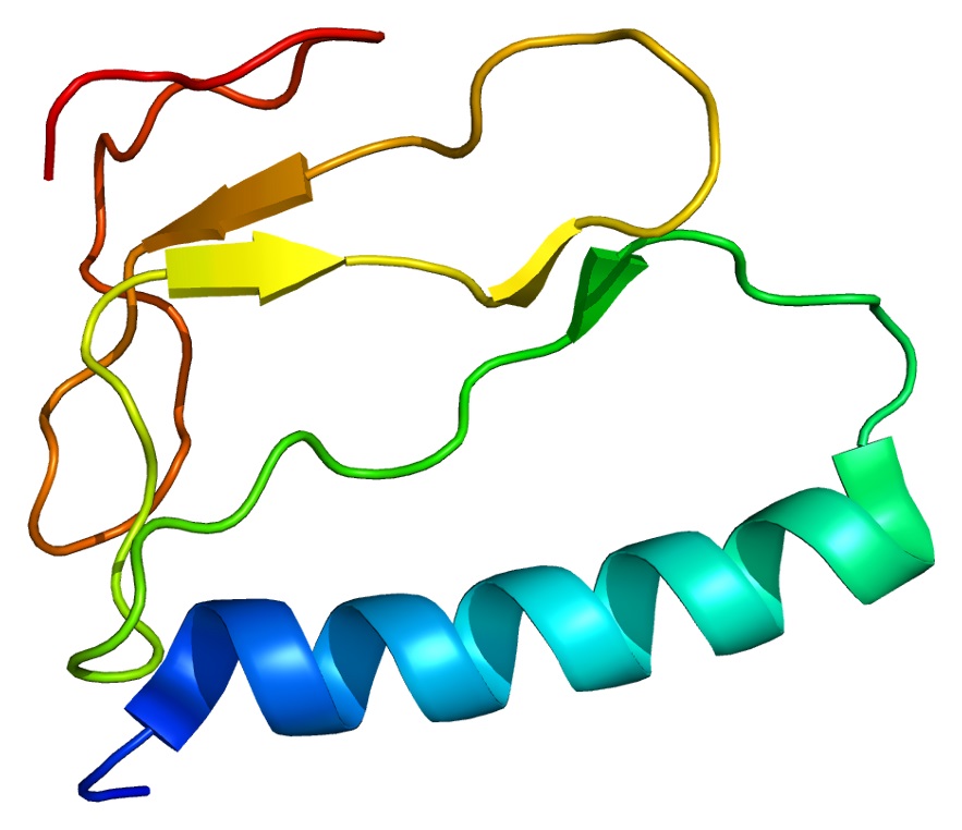 Struktura proteinu IGFBP1, což je z zkratka z anglického „insulin like growth factor binding protein 1“. Kromě staršího názvu placentární protein, se s tímto proteinem v pracích od různých autorů můžeme setkat také pod názvy: AFBP, IBP1, IGF-BP25, PP
