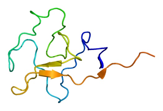 Molekula jedné z domén lipoproteínu (a). Podrobnosti viz diskuse. Kredit: Emw, Wikipedia, CC BY-SA 3.0