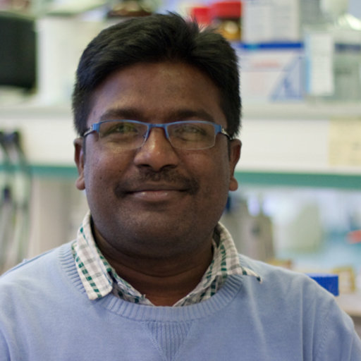Rajendra  Kurapati, první autor publikace prokazující, že neutrofily zvládají degradovat jedno i vícevrstevný grafen. University of Strasbourg, Francie. (Kredit: UNISTRA)