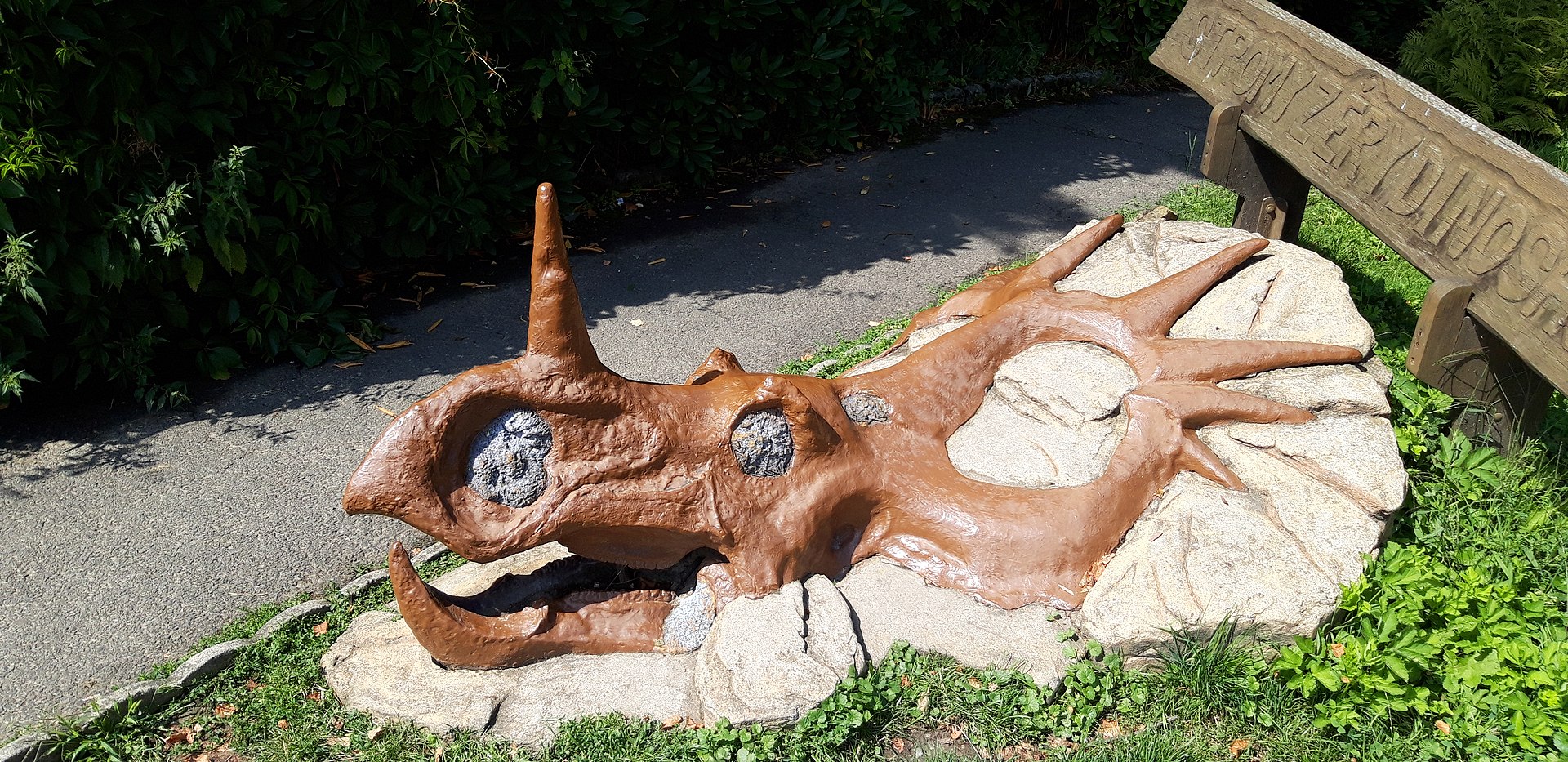 Model lebky ceratopsida styrakosaura mohou v plenéru obdivovat i čeští návštěvníci, a to v areálu Zoologické zahrady ve Zlíně (expozice Stromy z éry dinosaurů). Tento snímek byl pořízen autorem článku letošního 14. srpna. Kredit: Vlastní snímek; Wiki