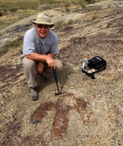 Paleontolog Phillip L. Manning u dobře viditelného otisku stopy velkého teropodního dinosaura, nacházejícího se v sedimentech souvrství Hell Creek. Téměř s jistotou tak jde o fosilní stopu tyranosaura. Nález byl oznámen v říjnu roku 2007, v následujícím roce pak byl oficiálně popsán. Kredit: Phillip Manning / University of Manchester