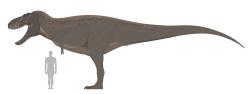 Rekonstrukce přibližného vzezření obřího exempláře druhu Tyrannosaurus rex, žijícího na území současného Nového Mexika. Podle některých paleontologů se může jednat také o samostatný taxon, druhu T. rex pouze příbuzný. Navrhované jméno, které je však zatím zcela neoficiální, zní „Alamotyrannus brinkmani“. Kredit: LancianIdolatry; Wikipedia (CC BY-SA 4.0)