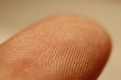 Detail papilárních linií na mužském prstu. Kredit: Frettie, Wikimedia Commons, CC-BY-3.0