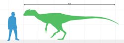 Juratyrant langhami byl prvním známým druhem tyranosauroidního teropoda dosahujícího délky přes čtyři metry a hmotnosti přes 200 kilogramů (jeho délka činila asi 5 až 6 metrů a hmotnost zhruba 300 až 500 kg). Přesto ani tento druh zřejmě nebyl dominantním predátorem svých ekosystémů. Žil na území dnešní Velké Británie v období pozdní jury, asi před 149 miliony let. Kredit: Eotyrannu5, Wikipedie (CC BY-SA 4.0)