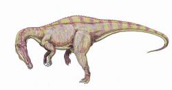 Rekonstrukce přibližné podoby suchomima. Tento teropod patřil v dospělosti při délce kolem 12 metrů do velikostní kategorie druhu Tyrannosaurus rex (ačkoliv nebyl tak robustní). Kredit: ДиБгд, Wikipedie (volné dílo)