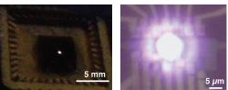 Záře grafenové mikrožárovky v měřítku milimetrů (vlevo) a mikrometrů (vpravo). Kredit: Young Duck Kim / Columbia Engineering