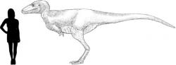 Přibližná představa o velikosti a vzezření alektrosaura, vzdáleného příbuzného mladšího a mnohem většího druhu T. rex. Kredit: Tomopteryx, Wikipedie (CC BY-SA 4.0)