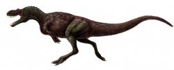 Rekonstrukce pravděpodobné stavby těla a celkového vzezření druhu A. montgomeriensis. Ve svých ekosystémech tento teropod pravděpodobně představoval dominantního predátora, schopného ulovit téměř jakoukoliv kořist. Jeho preferovanou potravou pak byli nejspíš kachnozobí dinosauři, jejichž fragmentární fosilie byly ve stejném souvrství rovněž objeveny. Kredit: FunkMonk, Wikipedie (CC BY 3.0)