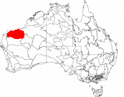 Pilbara, řídce osídlený suchý region v Západní Austrálii. Kromě ložisek plynu, železné rudy a skalních maleb Aboriginců, je pobřežní oblast známa pro výskyt stromatolitů z období prekambria a archaika. O něco více ve vnitrozemí je lokalita Apex Chert. Právě tam se podle některých paleontologů zachovaly v hornině  prekambrijské mikrofosílie. Kredit: Hesperian, Wikipedia.