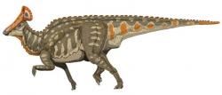 Rekonstrukce pravděpodobného vzezření olorotitana. Tento lambeosaurinní hadrosaurid obýval území východní Asie v období nejpozdnější křídy, asi před 70 až 66 miliony let. Patřil tak vůbec k posledním známým neptačím dinosaurům z této části světa. Při délce kolem 8 metrů dosahoval hmotnosti nosorožce. Kredit: ДиБгд, Wikipedie (CC BY-SA 3.0)