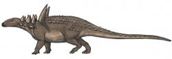 Přibližné vzezření živé sauropelty. Tento obrněný dinosaurus dosahoval hmotnosti nosorožce a nebyl zřejmě lehkou kořistí ani pro smečky deinonychů nebo obří akrokantosaury. Kredit: Emily Willoughby, Wikipedie (CC BY-SA 3.0)